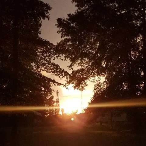 Nightly Madness cover