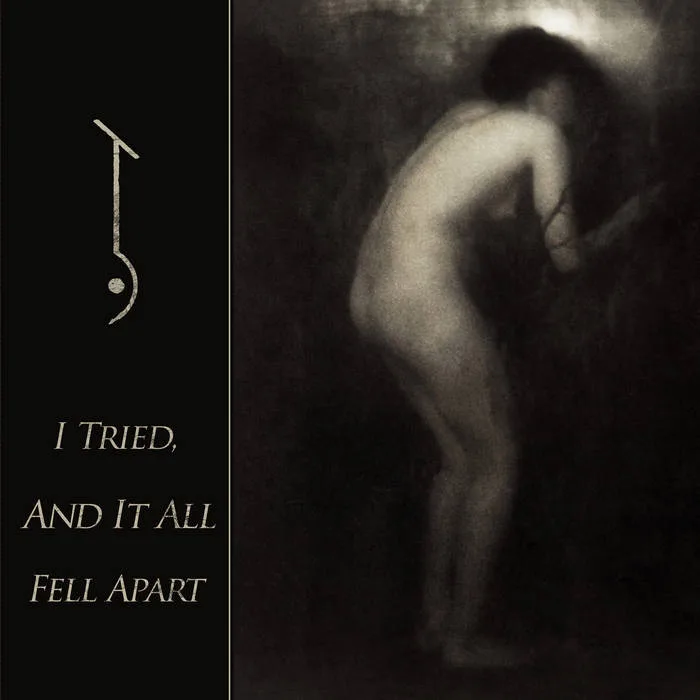 I Tried, and It All Fell Apart cover