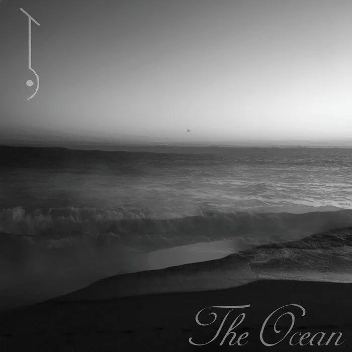 The Ocean cover