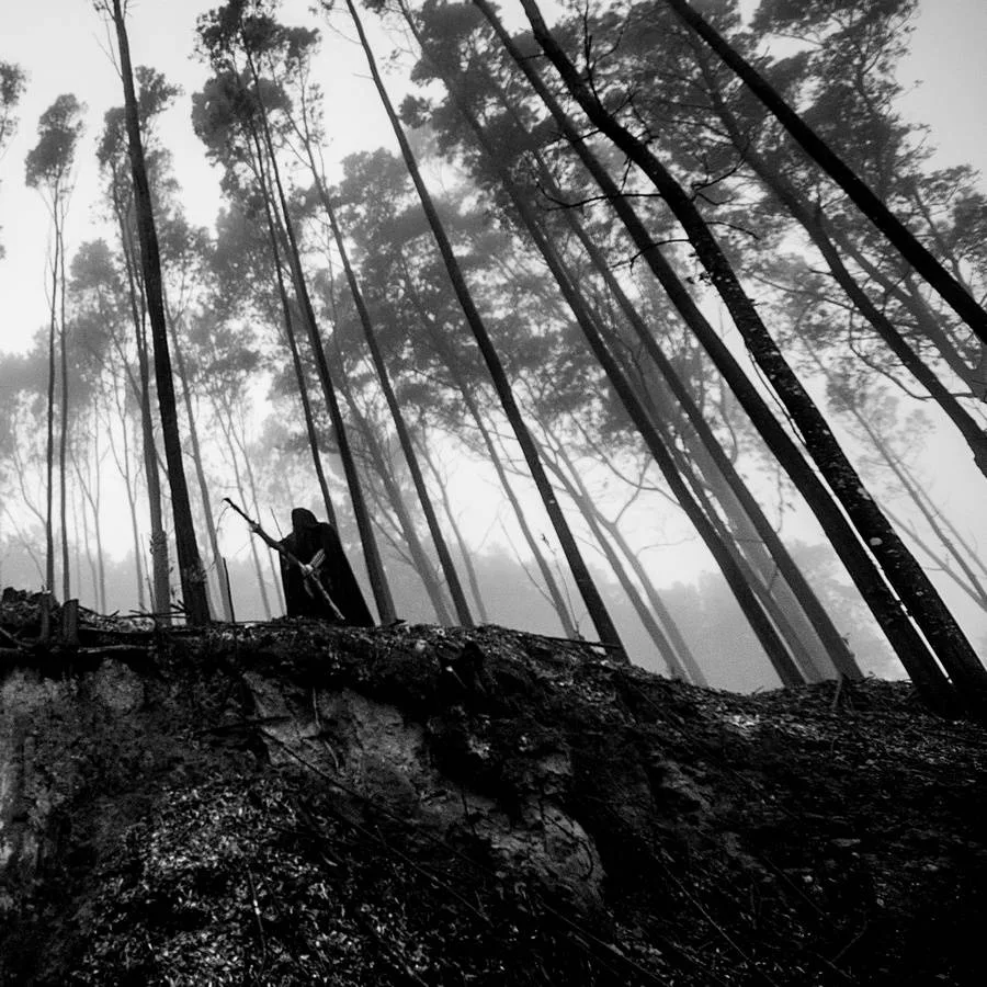 Lurking in the Depths cover