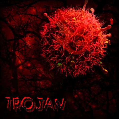 Trojan cover