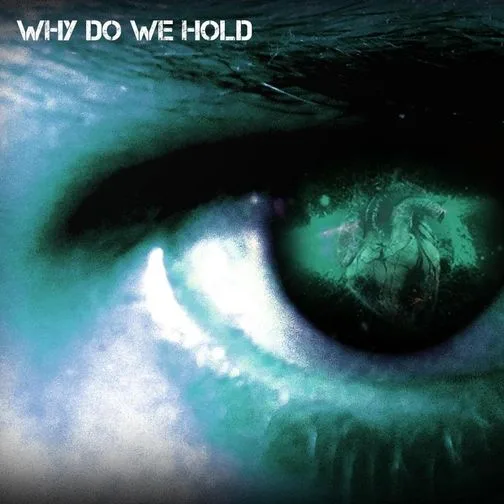 Why Do We Hold (Reignite) cover