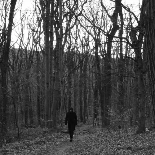 Ill by Moonlight cover