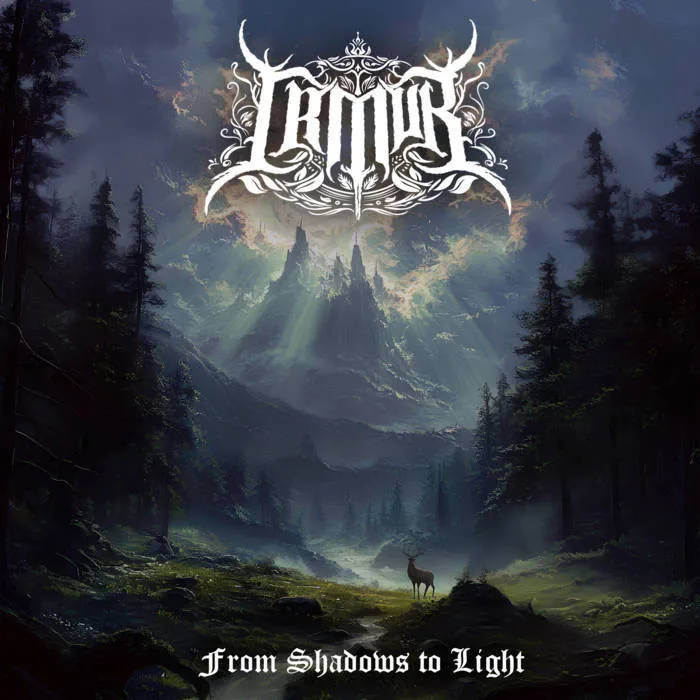 From Shadows to Light cover
