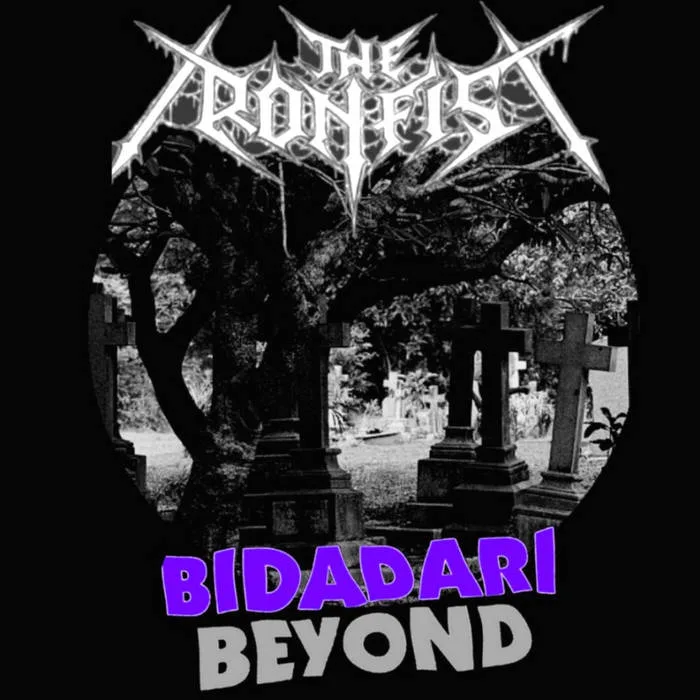 Bidadari Beyond cover