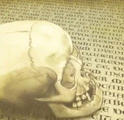 Words of the Forgotten cover