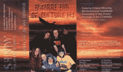 Bizarre End of the Century I+I cover