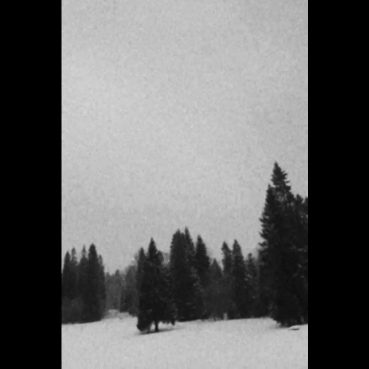 Through the Frozen Eternity I cover