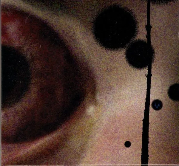 Holy Tears + Not in Rivers, but in Drops cover