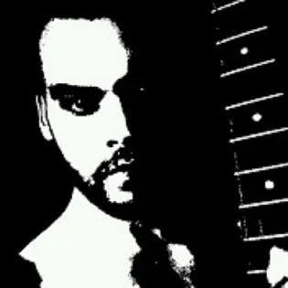 Reign of Insanity cover