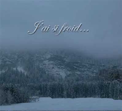J'ai si froid... cover