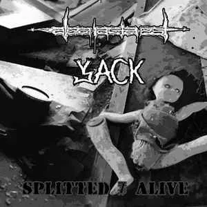 Splitted / Alive cover