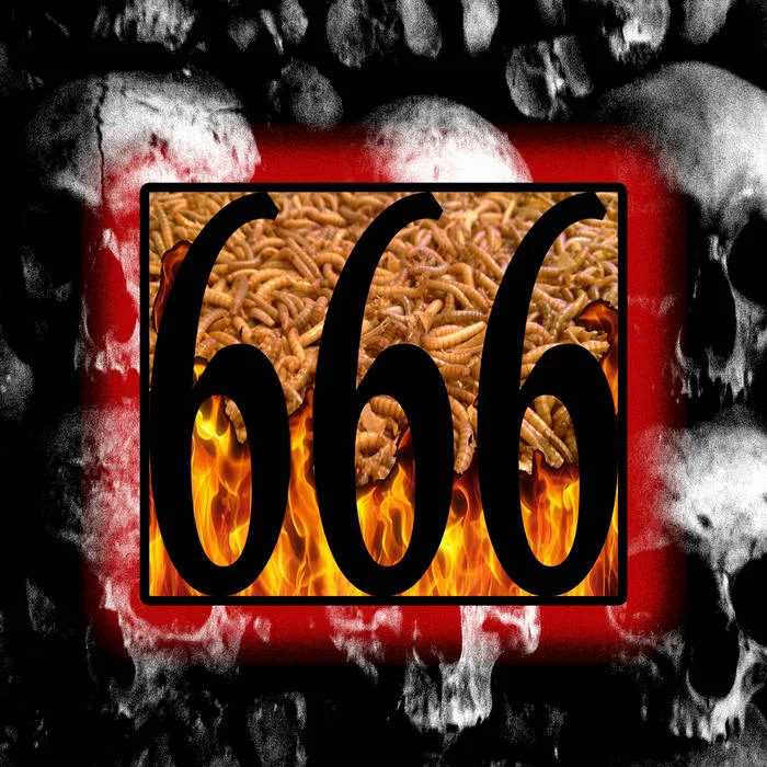 666 cover