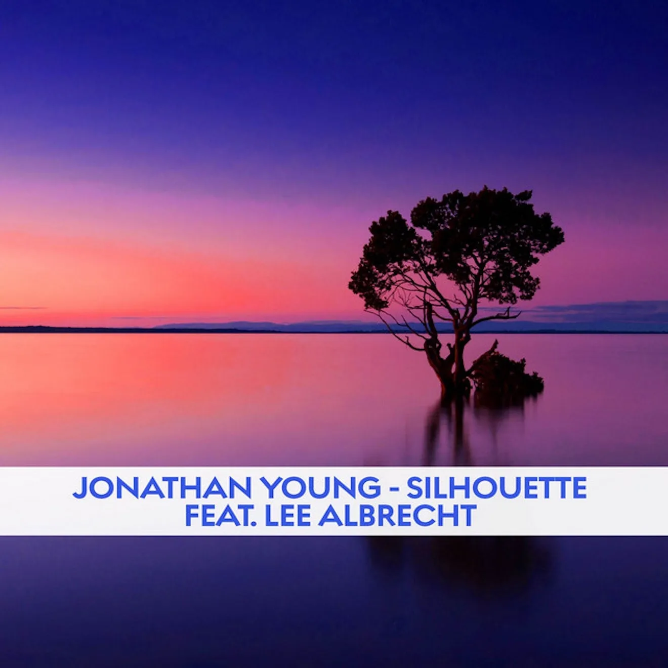 Silhouette cover