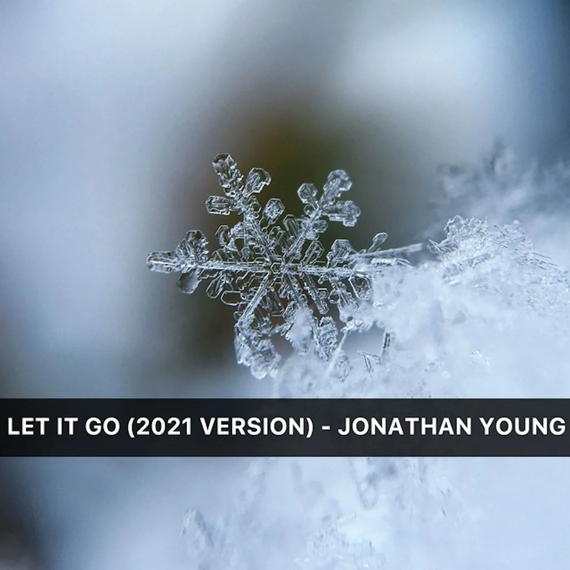 Let It Go cover