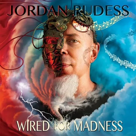 Wired for Madness cover