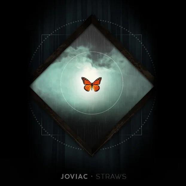 Straws cover