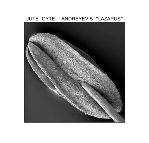 Andreyev's "Lazarus" cover