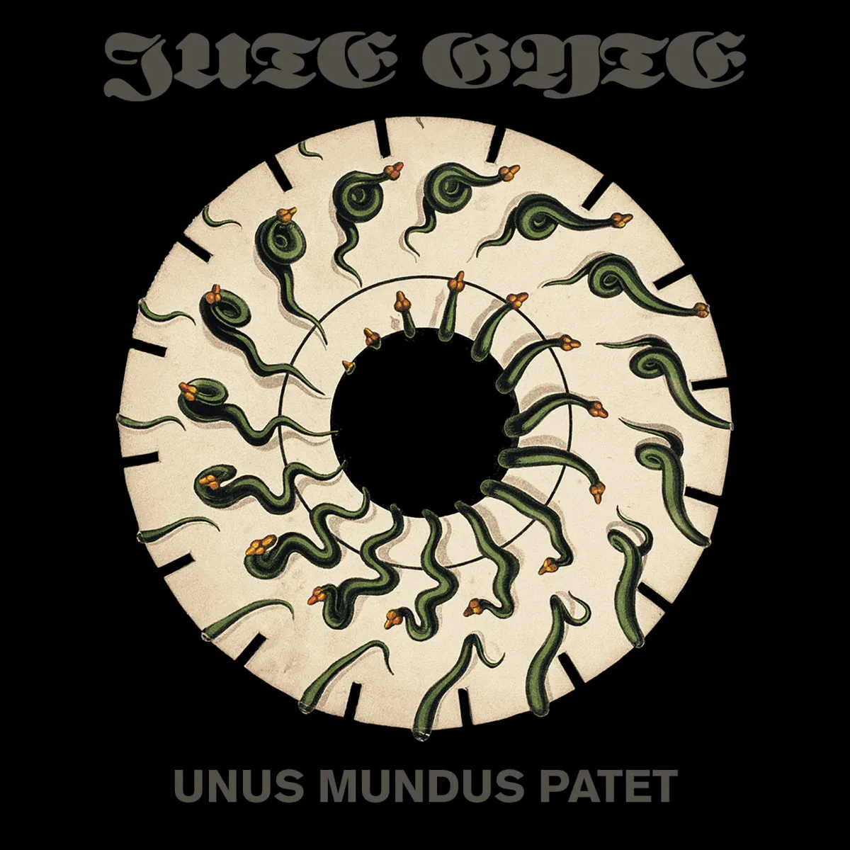 Unus Mundus Patet cover