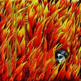 Le brasier des mondes cover