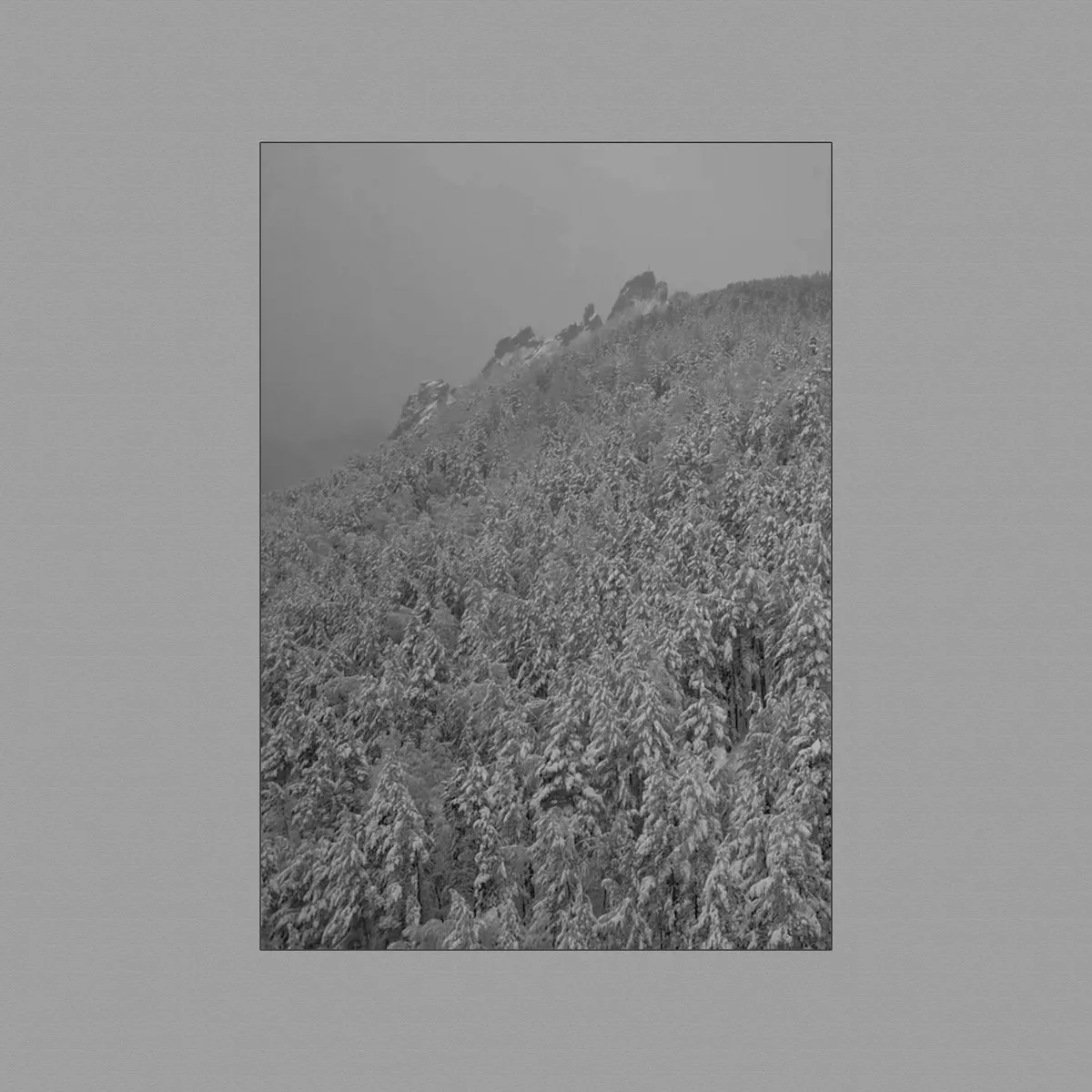 Vinterstjerne cover