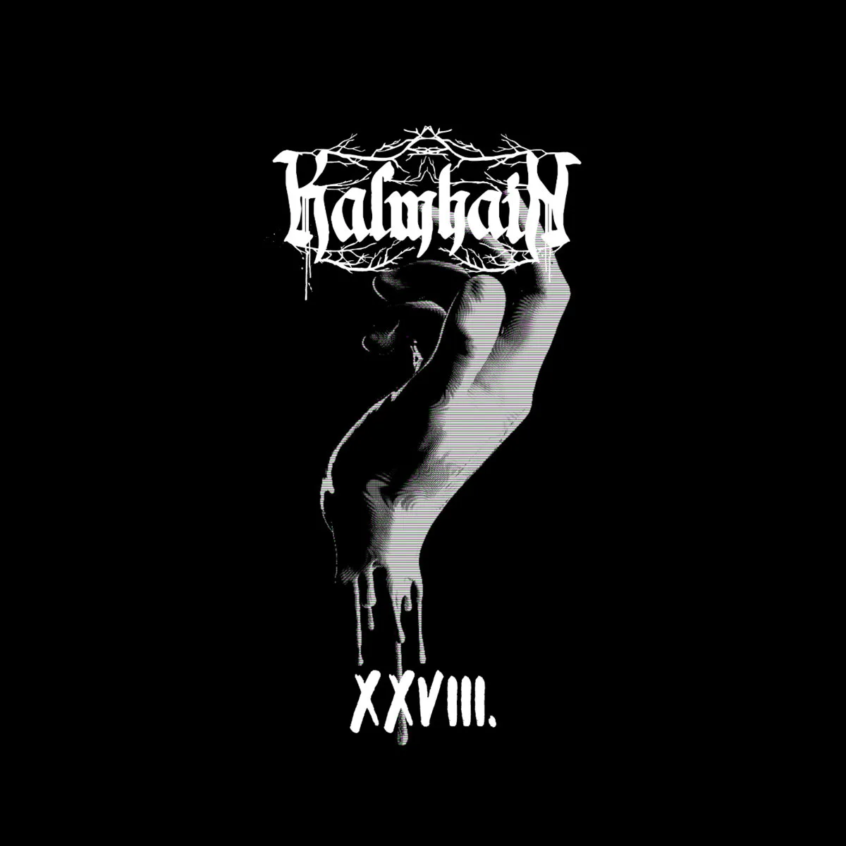 XXVIII cover