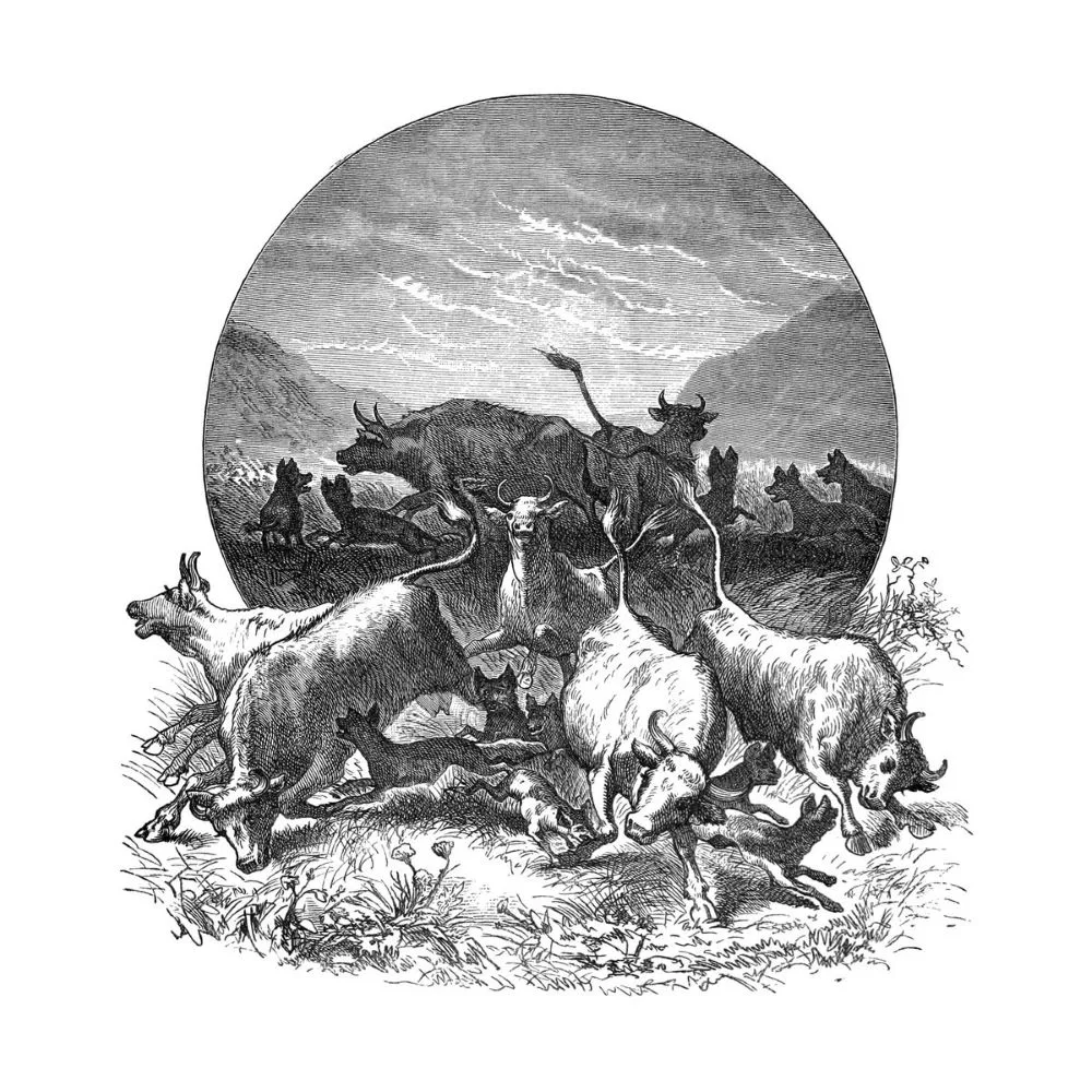 Sun paras ei riitä koskaan cover