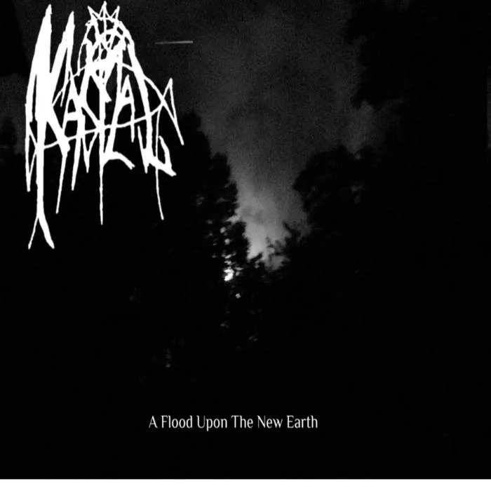 A Flood upon the New Earth cover