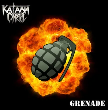Grenade cover