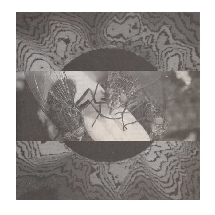 Kathreptis / Steven Seagal cover