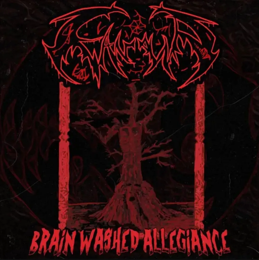 Brainwashed Allegiance cover