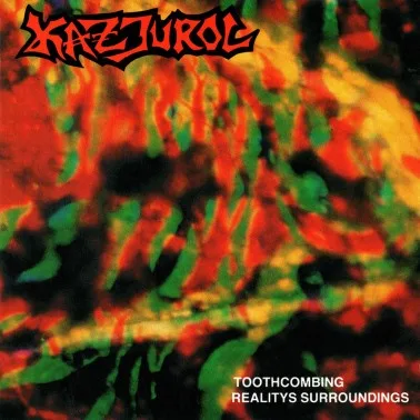 Toothcombing Reality's Surroundings cover