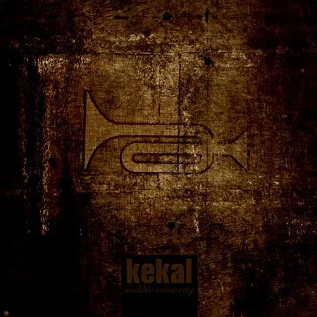 Audible Minority cover