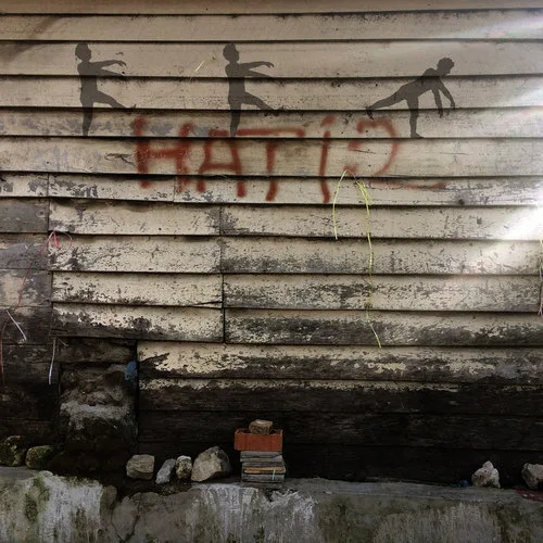 The Sleep System cover