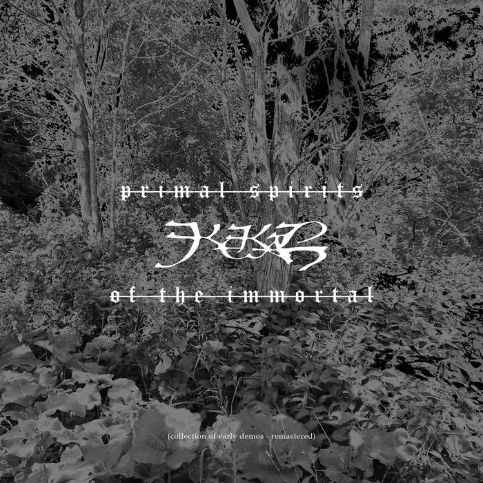 Primal Spirits of the Immortal cover
