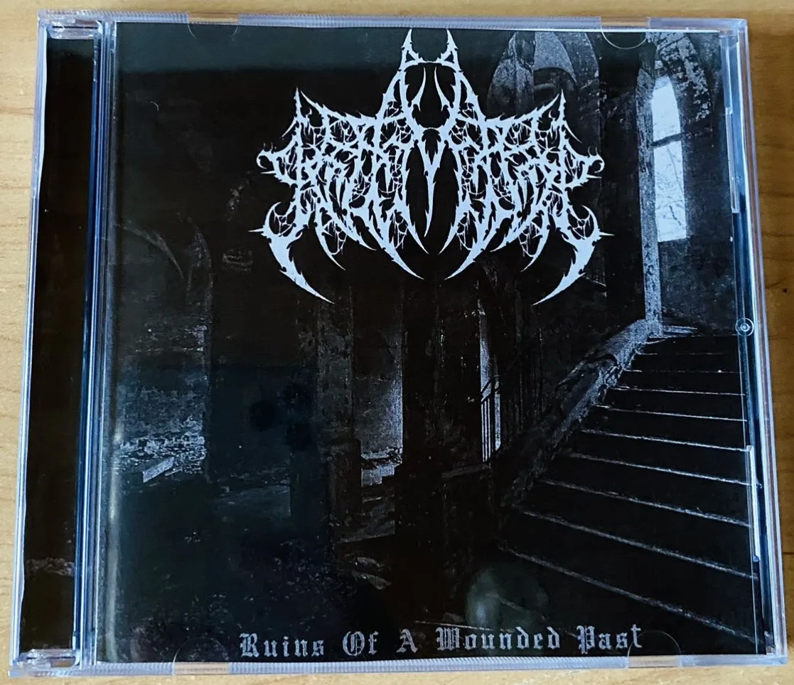 Ruins of a Wounded Past cover