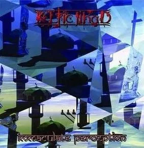 Immaculate Perception cover
