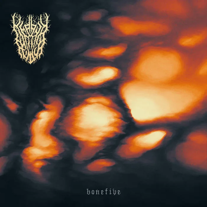 Bonefive cover