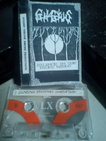 Silence in the Night Winds cover