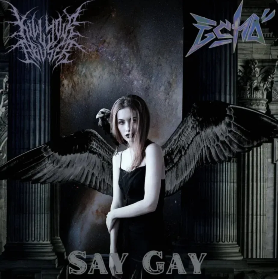 Say Gay cover