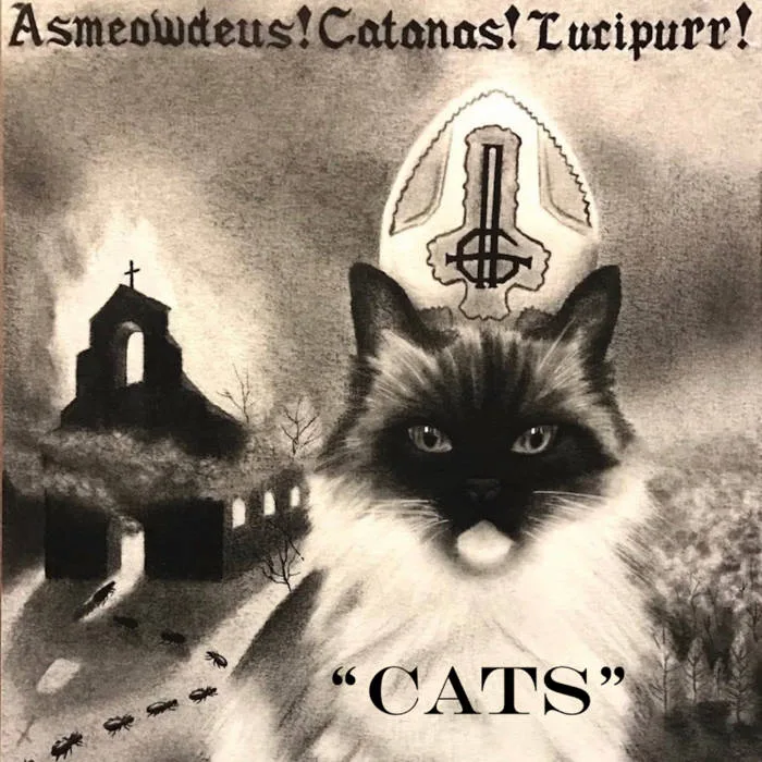 Cats cover