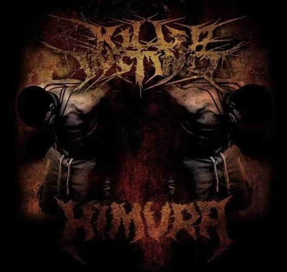 Killer Instinct / Himura cover