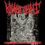 Korruption Kauses Katastrophe cover