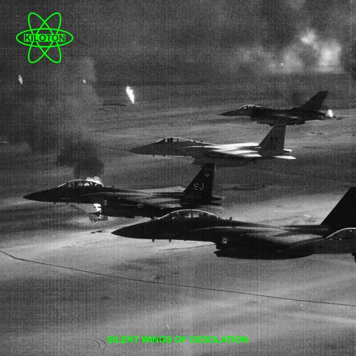 Silent Wings of Desolation cover