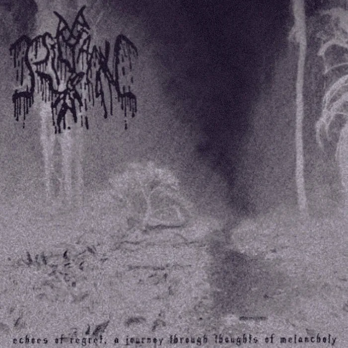 Echoes of Regret a Journey Through Thoughts of Melancholy cover