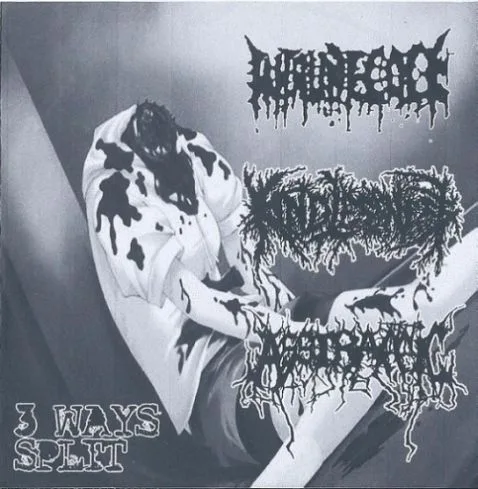 3 Ways Split cover