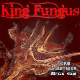 Euro Elections Mega Jam cover