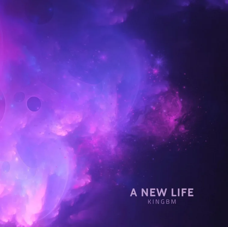 A New Life cover