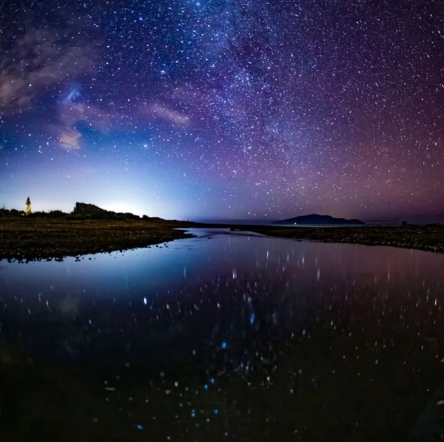 She's Out of My Life cover