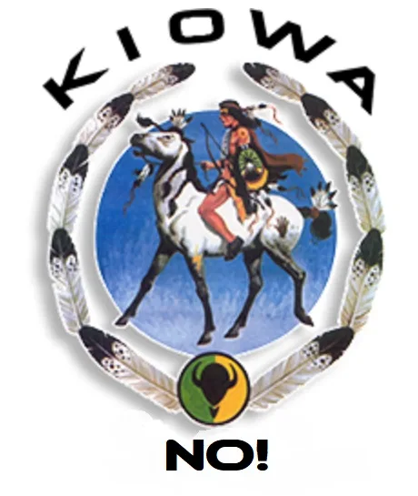 NO! cover